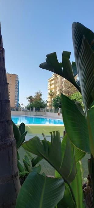 Elegante Alojamiento Con Piscina A 200 M Del Mar. Apartment Benalmádena Exterior foto